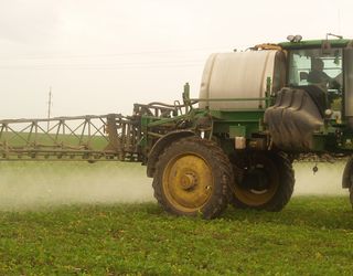 Пасічників Херсонщини інформуватимуть про оброблення полів пестицидами в Інтернеті
